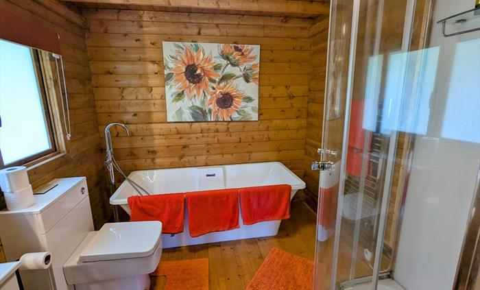 Tad cabin bathroom